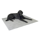 Ein schwarzer Hund liegt auf einer weichen grauen Haustiermatte und zeigt Komfort und Entspannung.