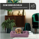 Ein gemütliches Hundebett in einem stilvollen Wohnzimmer mit einem kleinen Hund, der darin ruht. Text: "ZUM EINKUSCHELN" und "schafft ein gemütliches Ambiente."