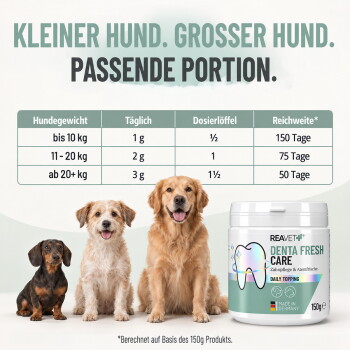 Vorher- und Nachher-Bilder eines Hundemauls, die die Ergebnisse der Zahnreinigung zeigen; 'Vorher' oben, 'Nachher' unten.