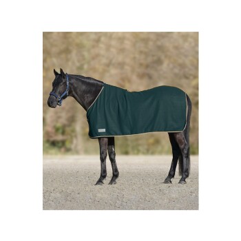 Ein schwarzes Pferd mit einer dunkelgrünen Decke mit goldener Einfassung steht auf einer sandigen Fläche und zeigt seinen schlanken Körperbau und Halfter.