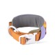 Buntes Haustierhalsband mit einem orangefarbenen Riemen, grauer Polsterung und einer weißen Schnalle, mit einem metallischen D-Ring zur Leinenbefestigung.
