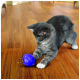 Chat tigré gris donnant des coups de patte à une balle distributeur de friandises bleue sur un plancher en bois, des croquettes qui se renversent.