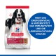 Science Plan Medium Adult 1-6 Lamm und Reis 14 kg