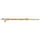 Orangefarbene Hundeleine mit Lederakzenten und einem Metallclip, mit einem runden Anhänger mit einem Hundesilhouette.