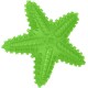 Jouet à mâcher en caoutchouc vert en forme d'étoile de mer avec pointes, plots texturés et arêtes surélevées.