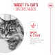 Gray tabby cat with text "Target 11+ Cat's Specific Needs" and "Skin & Coat: Help maintain skin and coat health with linoleic acid and zin"