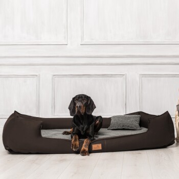 Schwarz-brauner Hund liegt auf einem großen braunen Haustierbett mit grauem Kissen in einem weiß verkleideten Raum.