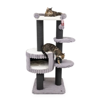 Zwei Katzen spielen auf einem mehrstöckigen grauen Katzenbaum mit weichen Plattformen und einem gemütlichen Versteck.