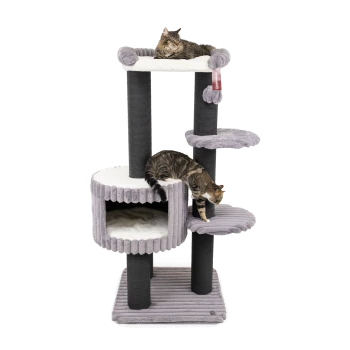 Zwei Katzen spielen auf einem mehrstöckigen grauen Katzenbaum mit weichen Plattformen und einem gemütlichen Versteck.
