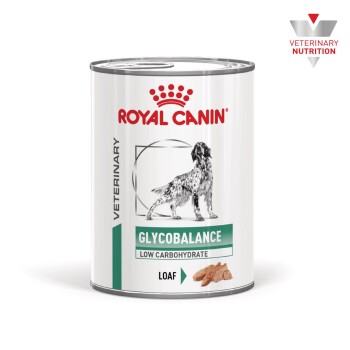 Dose Royal Canin Tierarzt-Hundefutter mit der Aufschrift GLYCOBALANCE, LOW CARBOHYDRATE, LOAF; weiße Dose mit Hundeillustration.