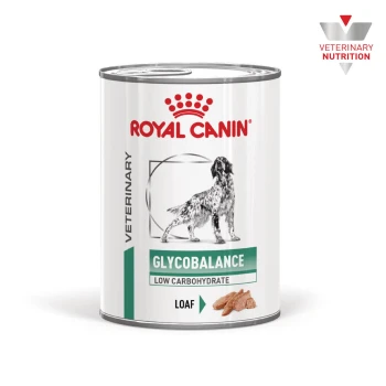 Royla Canin Nassfutter Hund, Adult, Glycobalance, Filet 410g Dose Royal Canin Tierarzt-Hundefutter mit der Aufschrift GLYCOBALANCE, LOW CARBOHYDRATE, LOAF; weiße Dose mit Hundeillustration.