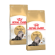 Zwei Beutel Royal Canin Adult Persian Katzenfutter, mit einer flauschigen Perserkatze auf der Vorderseite, in einem gold-weißen Design.
