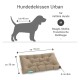 Hundebett "Urban" für mittelgroße Hunde, Maße 70x50 cm, 6 cm dick, geeignet für Rassen wie Beagle und Französische Bulldogge.