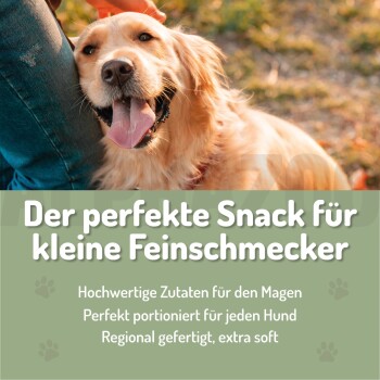 Grüner zylindrischer Behälter mit Hundesnacks für Agilität, mit einem Pfotenabdruck-Design, beschriftet mit "Yummy Snacks" und "Für Hunde."