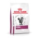 Royal Canin Veterinary Renal Katzenfutterbeutel mit einer Illustration einer grauen getigerten Katze, mit dem deutlich sichtbaren "ROYAL CANIN"-Logo und "RENAL".