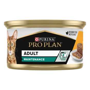 Une boîte de nourriture pour chat Purina Pro Plan étiquetée "Entretien des adultes" avec un chat tigré et le texte "Riche en Poulet" et "Terrine."