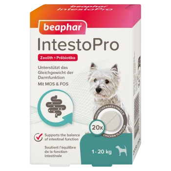 Emballage Beaphar IntestoPro pour chiens, présentant un chien blanc sur le devant, avec un texte mettant en avant le soutien à l'équilibre intestinal et le goût de poulet.