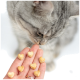SmoothieCat Katzenleckerlis in Glasflaschen, mit den Geschmacksrichtungen: Huhn, Fisch, Ente und Kaninchen. Der Text hebt 100% natürliche Zutaten hervor.