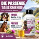 Ein glücklicher schwarz-weißer Hund, der durch ein Feld mit lila Blumen läuft, umgeben von Grün.