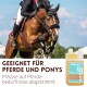 Pferd springt mit Reiter im Helm, daneben Supravit MSM & Glucosamin Ergänzung für Sportpferde und intensives Training.
