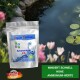 Ammonium-EX 1000g für ca. 100.000 Liter Teichvolumen