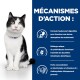 Un chat noir et blanc assis contre un fond bleu avec du texte en français sur la santé digestive, les prébiotiques et les vitamines.