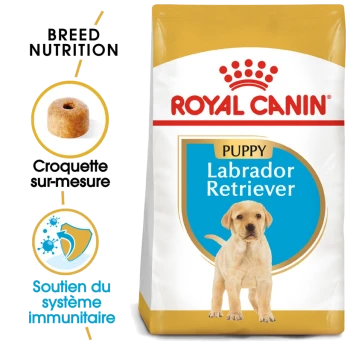 Royal Canin Puppy Labrador Retriever dog food bag, featuring breed-specific nutrition, a kibble image, and immune system support text.