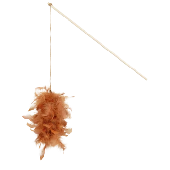 Ein gefiederter Katzenspielzeug mit einem orangefarbenen flauschigen Pom-Pom, das an einem Faden hängt, der von einem Holzstock hängt.