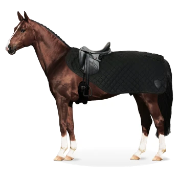 Ein braunes Pferd steht im Profil, trägt eine schwarze gesteppte Satteldecke und einen Sattel, zeigt seinen muskulösen Körperbau und sein glänzendes Fell.