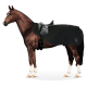 Ein braunes Pferd steht im Profil, trägt eine schwarze gesteppte Satteldecke und einen Sattel, zeigt seinen muskulösen Körperbau und sein glänzendes Fell.