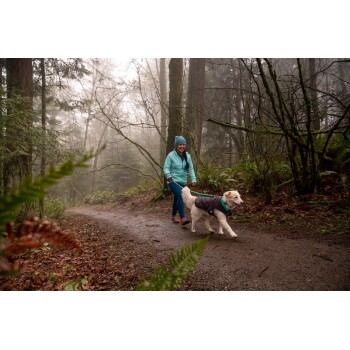 Eine Person in einer hellblauen Jacke und blauen Hosen führt einen Golden Retriever, der einen grauen Mantel trägt, auf einem nebligen Waldweg.