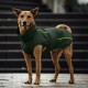 Ein brauner Hund trägt einen dunkelgrünen Regenmantel und sitzt elegant neben einem Steinsäule, während er nachdenklich in die Ferne schaut.