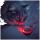Eine Nahaufnahme einer grauen Katze, die sich intensiv auf ein leuchtendes rotes Laser-Spielzeug auf einer weichen Oberfläche konzentriert und eine verspielte Atmosphäre schafft.