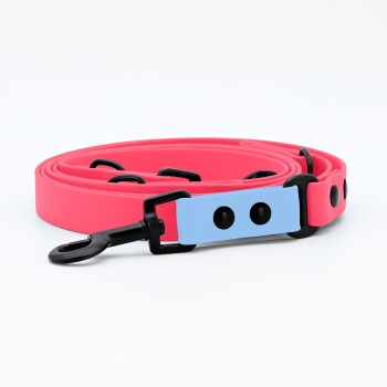 Biothane Hundeleine Pink hellblau