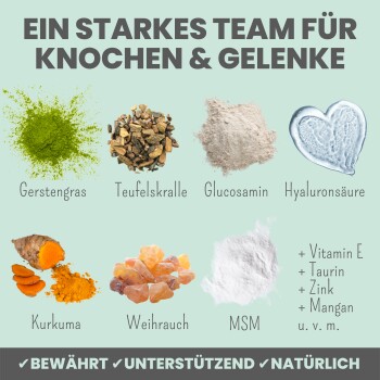 Bild von natürlichen Zutaten für die Gelenkgesundheit von Haustieren: Gerstengras, Teufelskralle, Glucosamin und mehr, betitelt "Ein starkes Team für Knochen & Gelenke."