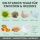 Bild von natürlichen Zutaten für die Gelenkgesundheit von Haustieren: Gerstengras, Teufelskralle, Glucosamin und mehr, betitelt "Ein starkes Team für Knochen & Gelenke."