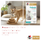 Chat roux jouant avec un jouet en bois à côté d'une boîte du complément Doppelherz Gelenk Complex pour chats