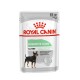 Royal Canin Digestive Care Hundefutterbeutel, 85g, mit einer kleinen Hundillustration und Text in mehreren Sprachen über die Verdauungsgesundheit.