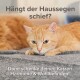 CatComfort Excellence Nachfüll-Flakon für Verdampfer
