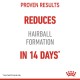 Hairball Care 4 kg