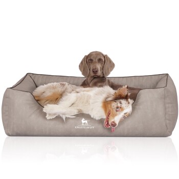 Orthopädisches Hundebett Tampa aus laser-gestepptem Kunstleder grau XL