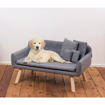 Ein gemütliches graues Haustiersofa mit einem entspannten Golden Retriever darauf, mit zwei kleinen Kissen und Holzbeinen, vor einer hellen Wand.