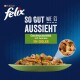 Grüner Napf mit Katzenfutter mit Fleisch und Gemüse in Gelee. Text: 'SO GUT WIE ES AUSSIEHT' und 'Geschmacksvielfalt mit Gemüse IN GELEE.'