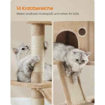 Zwei graue Kätzchen: eines klammert sich an einen Kratzbaum, das andere entspannt sich auf einem Regal des Katzenbaums. Text: "14 Kratzbereiche - Bieten endlosen Kratzspaß."