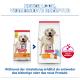 Hill's Science Plan Light alte und neue Verpackung, ‚NEUER LOOK, VERBESSERTE REZEPTUR‘, ActivBiome+-Abzeichen.