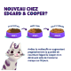Illustration d'un chat avec une expression joueuse, montrant un plan de transition alimentaire pour la nourriture pour animaux Edgard & Cooper sur 10 jours.