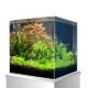 Ein lebendiges, bepflanztes Aquarium mit üppigen grünen Wasserpflanzen, rötlichem Laub und dunklem Substrat, auf einem weißen Ständer präsentiert.