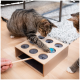 Eine getigerte Katze spielt mit einem Puzzle-Spielzeug mit Löchern und einem blauen Spielzeug darin, während eine andere Katze in der Nähe zuschaut.