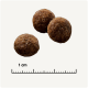 Trois morceaux de croquettes pour animaux de compagnie ronds sur un fond clair, avec une règle indiquant 1 cm pour référence de taille.