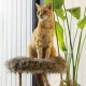 Eine orangefarbene getigerte Katze sitzt auf einem plüschigen, mit Fell gefütterten Platz, umgeben von grünen Pflanzen und natürlichem Licht, das durch ein Fenster strömt.